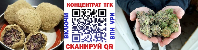 как найти наркотики  Карачев  Cannafood конопля 