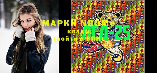 эйфоретик Вяземский