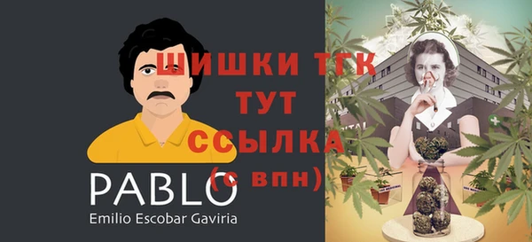 мдпв Горняк