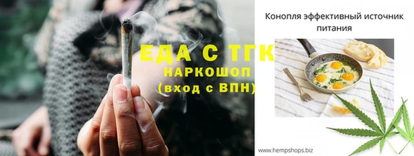гидра Гусиноозёрск