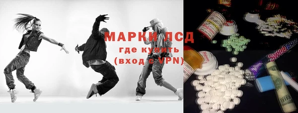 эйфоретик Вяземский