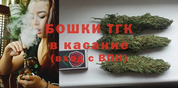 эйфоретик Вяземский