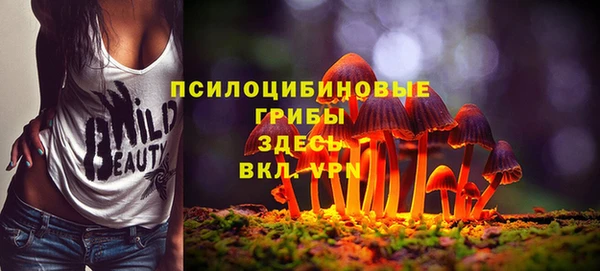 скорость Гусев