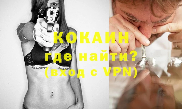 прущие грибы Горно-Алтайск