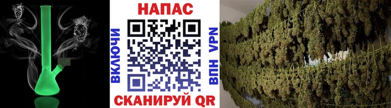 Шишки марихуана ГИДРОПОН Карачев